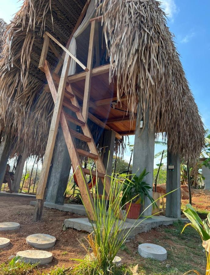 Отель Sasy Tipis Санта-Каталина Экстерьер фото